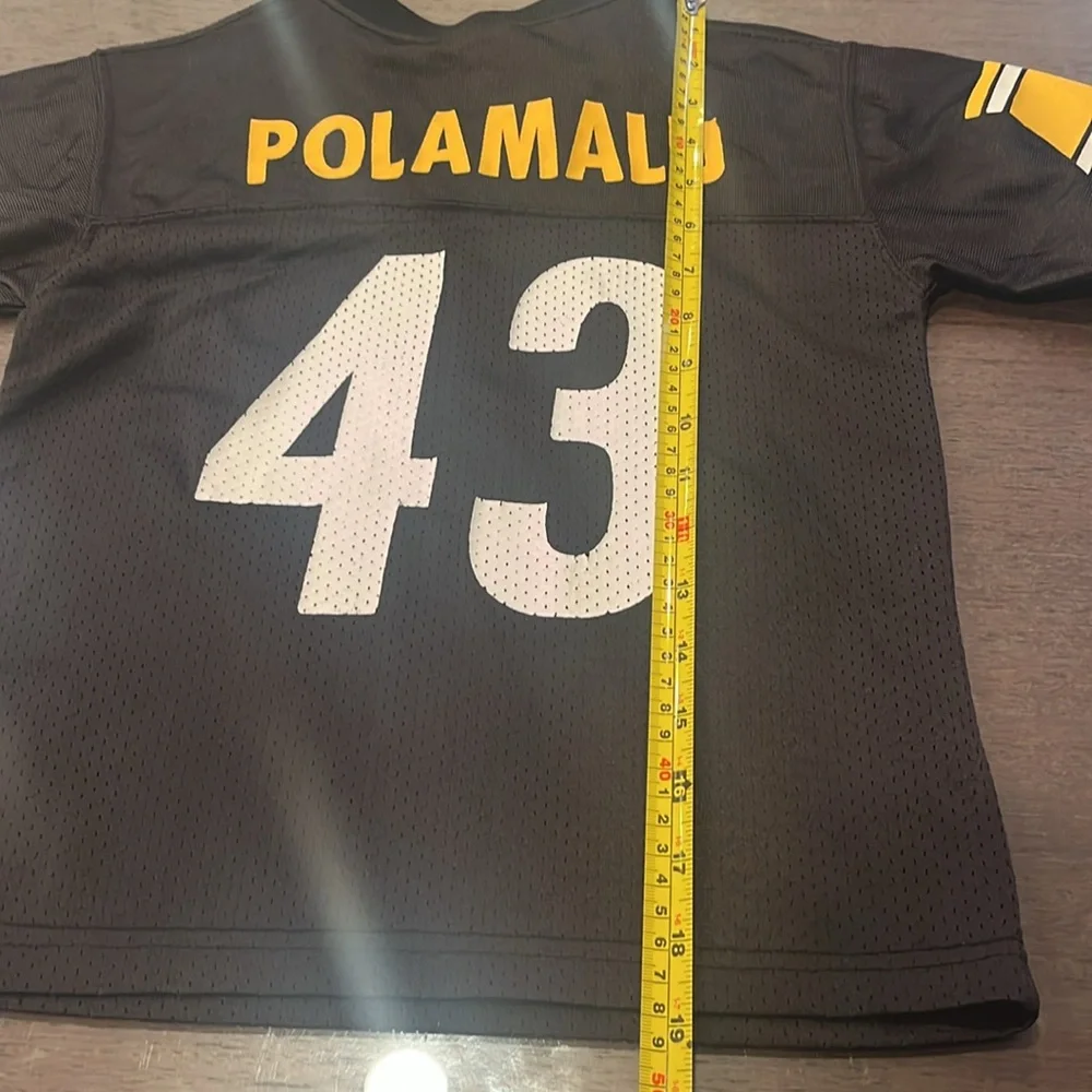 Steelers Troy Polamalu NFL jersey - Picture 4 of 5